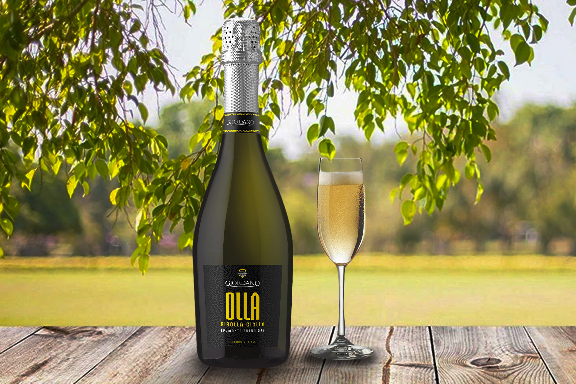 Olla, the new Ribolla Gialla sparkling wine  Olla, the new Ribolla Gialla sparkling wine
